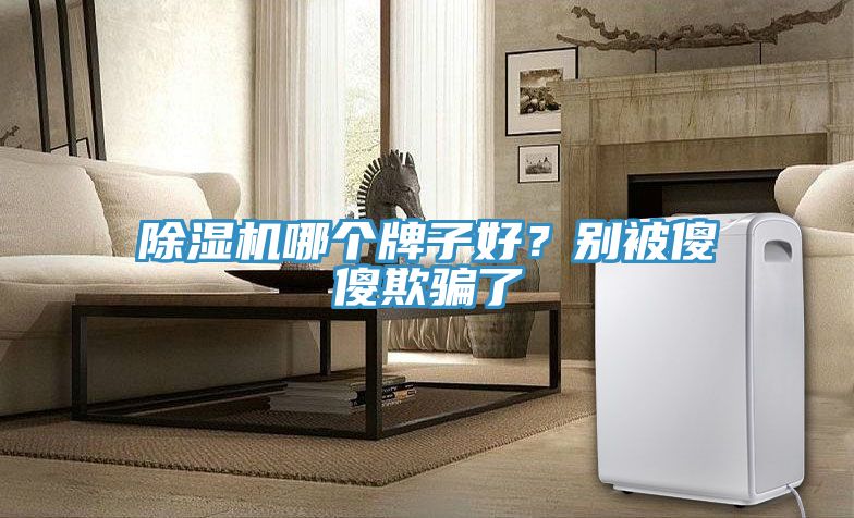 除濕機哪個牌子好？別被傻傻欺騙了