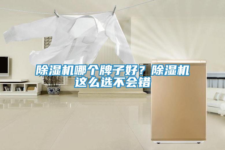 除濕機哪個牌子好？除濕機這么選不會錯