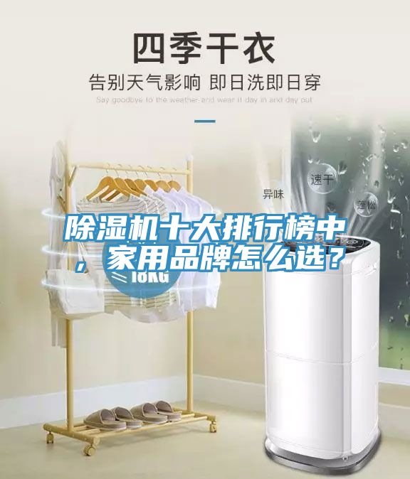 除濕機(jī)十大排行榜中，家用品牌怎么選？