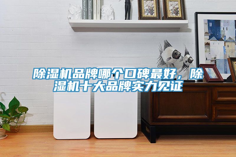 除濕機品牌哪個口碑最好，除濕機十大品牌實力見證