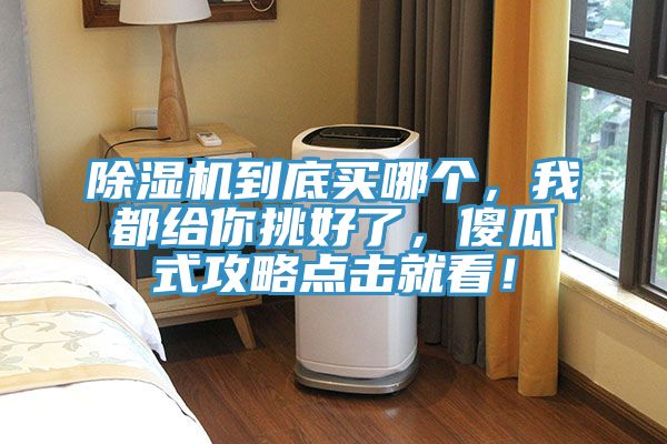 除濕機(jī)到底買(mǎi)哪個(gè)，我都給你挑好了，傻瓜式攻略點(diǎn)擊就看！