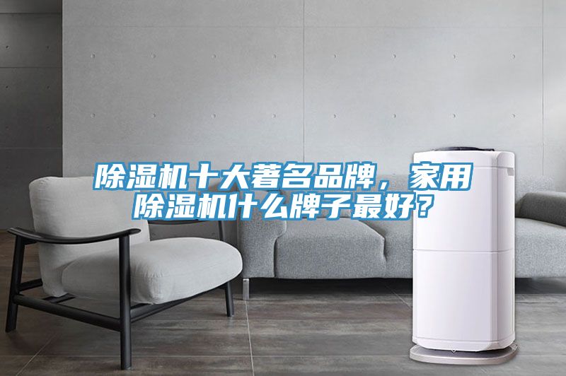 除濕機(jī)十大著名品牌，家用除濕機(jī)什么牌子最好？