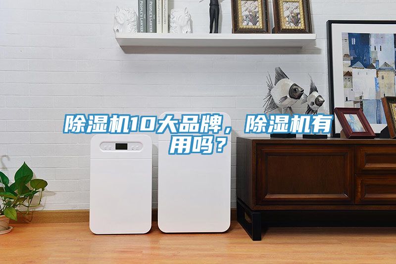 除濕機(jī)10大品牌，除濕機(jī)有用嗎？