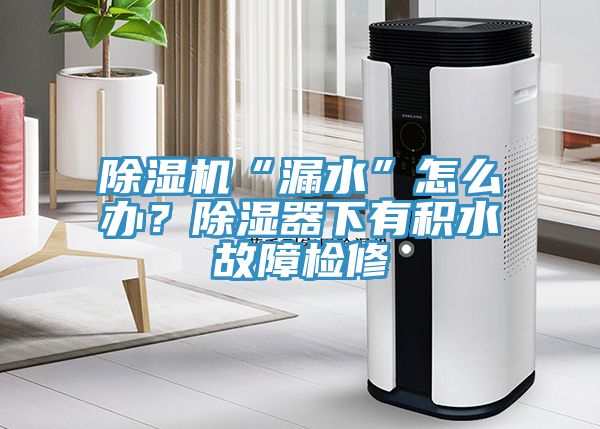 除濕機“漏水”怎么辦？除濕器下有積水故障檢修