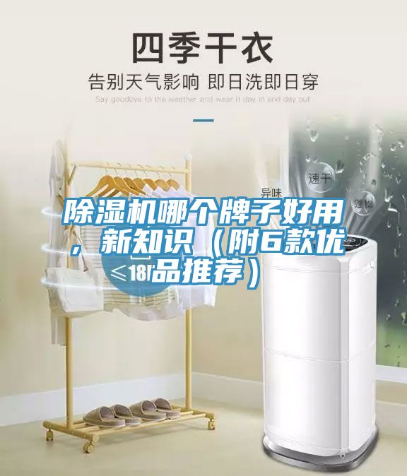 除濕機哪個牌子好用，新知識（附6款優(yōu)品推薦）
