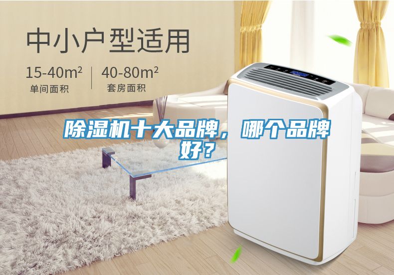除濕機(jī)十大品牌，哪個(gè)品牌好？