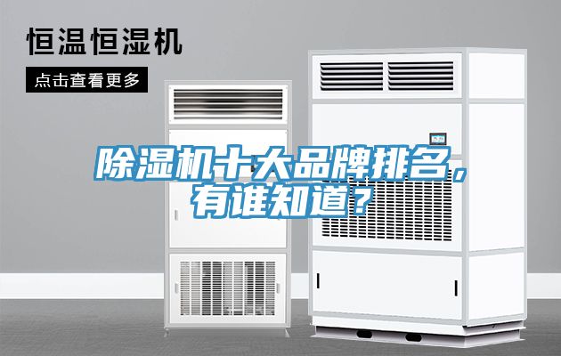 除濕機(jī)十大品牌排名，有誰知道？