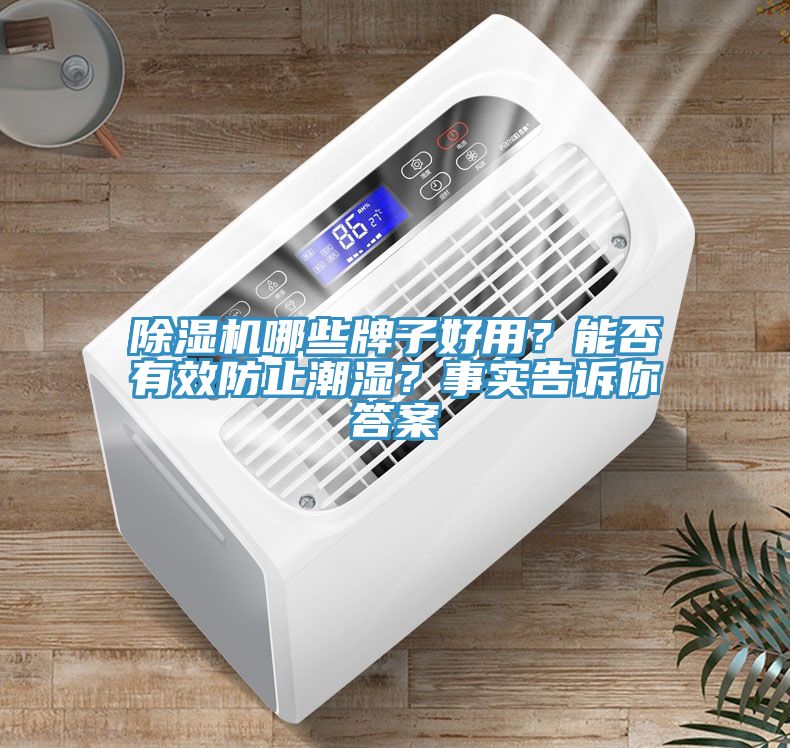 除濕機(jī)哪些牌子好用？能否有效防止潮濕？事實(shí)告訴你答案