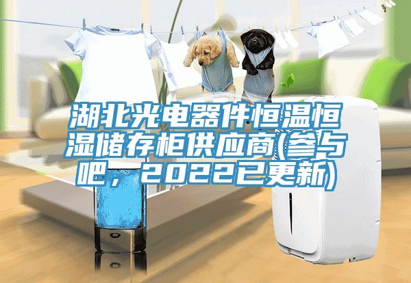 湖北光電器件恒溫恒濕儲存柜供應商(參與吧，2022已更新)