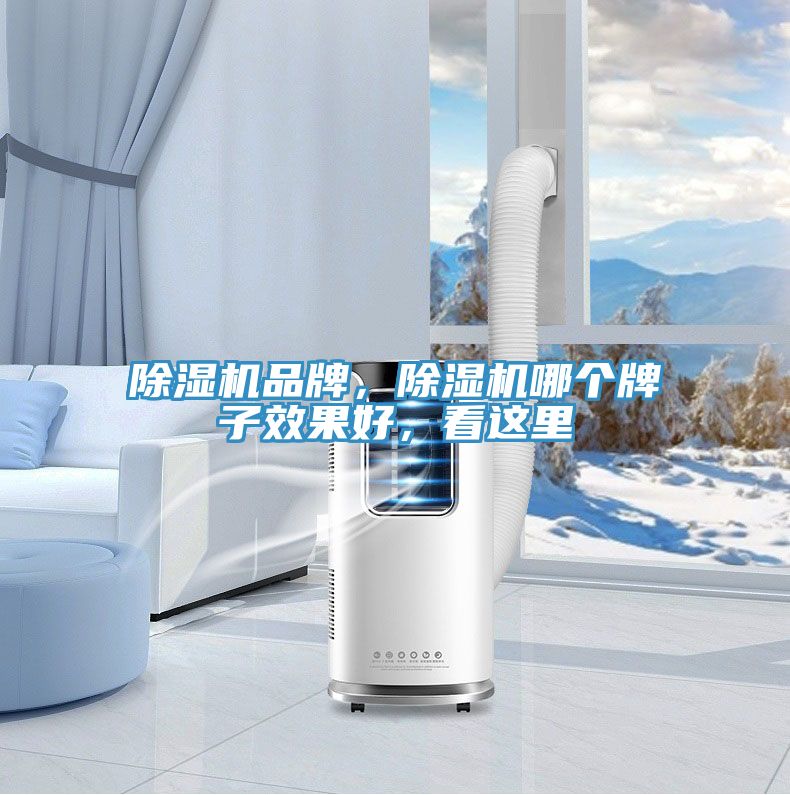 除濕機(jī)品牌，除濕機(jī)哪個牌子效果好，看這里