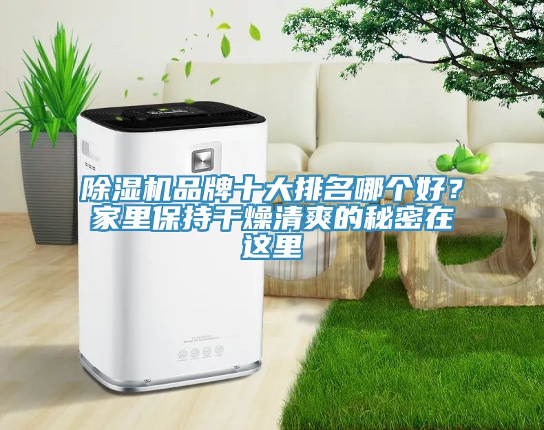 除濕機(jī)品牌十大排名哪個好？家里保持干燥清爽的秘密在這里