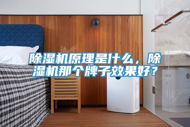 除濕機(jī)原理是什么，除濕機(jī)那個(gè)牌子效果好？