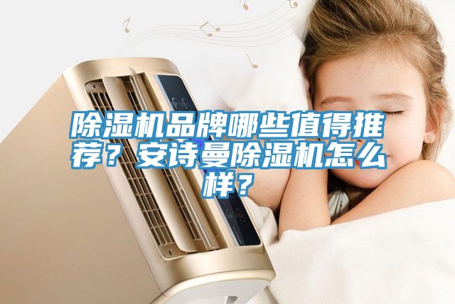 除濕機品牌哪些值得推薦？安詩曼除濕機怎么樣？