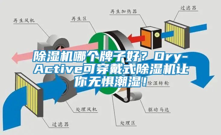 除濕機哪個牌子好？Dry-Active可穿戴式除濕機讓你無懼潮濕！