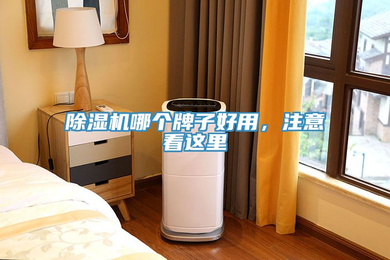 除濕機哪個牌子好用，注意看這里