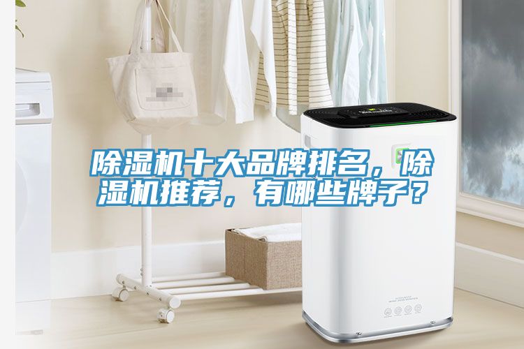 除濕機(jī)十大品牌排名，除濕機(jī)推薦，有哪些牌子？