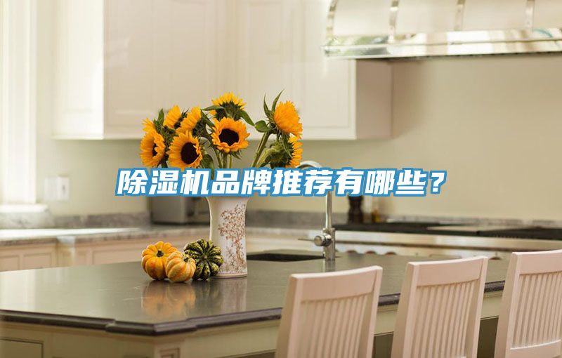 除濕機(jī)品牌推薦有哪些？