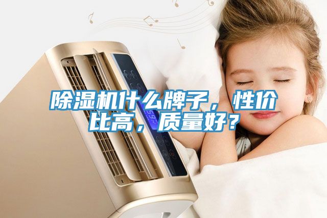 除濕機(jī)什么牌子，性價(jià)比高，質(zhì)量好？