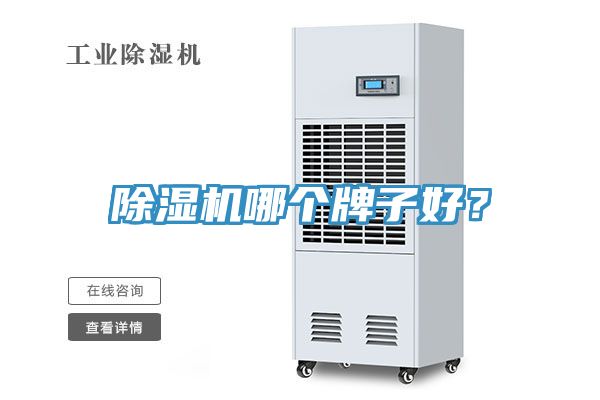除濕機哪個牌子好？