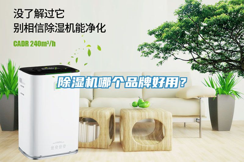 除濕機(jī)哪個品牌好用？