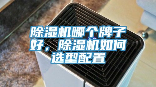 除濕機哪個牌子好，除濕機如何選型配置