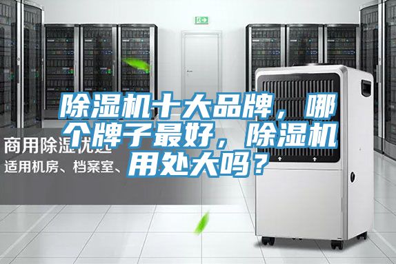 除濕機(jī)十大品牌，哪個(gè)牌子最好，除濕機(jī)用處大嗎？