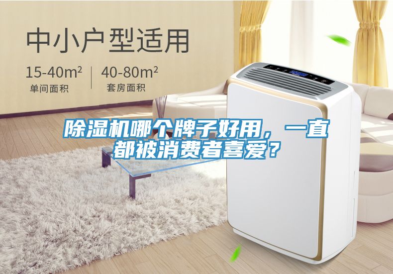 除濕機哪個牌子好用，一直都被消費者喜愛？