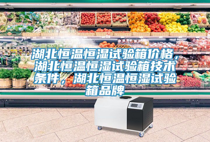 湖北恒溫恒濕試驗(yàn)箱價(jià)格，湖北恒溫恒濕試驗(yàn)箱技術(shù)條件，湖北恒溫恒濕試驗(yàn)箱品牌