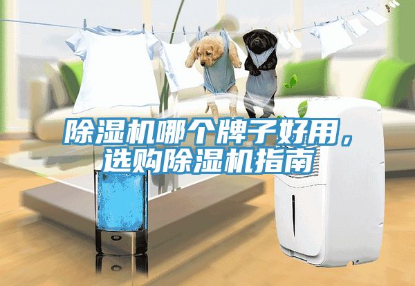 除濕機哪個牌子好用，選購除濕機指南