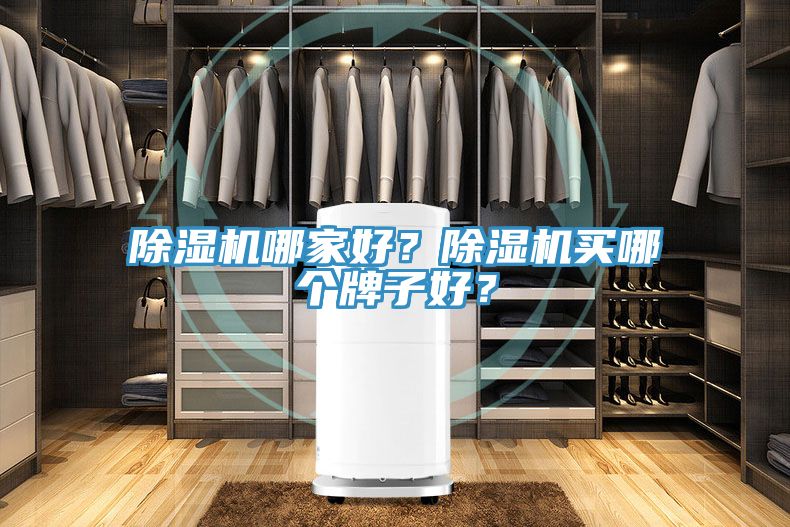 除濕機(jī)哪家好？除濕機(jī)買哪個(gè)牌子好？