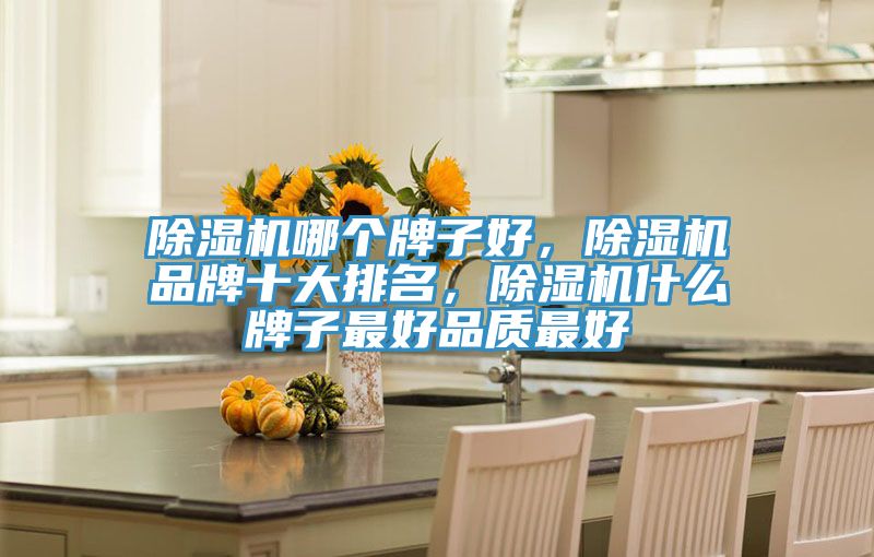 除濕機哪個牌子好，除濕機品牌十大排名，除濕機什么牌子最好品質(zhì)最好