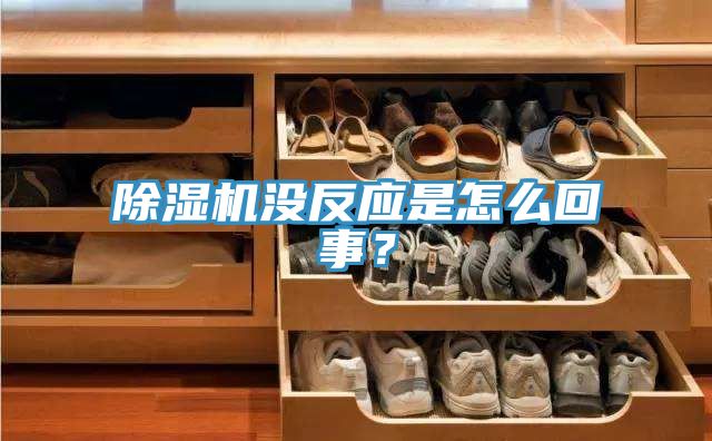 除濕機沒反應是怎么回事？