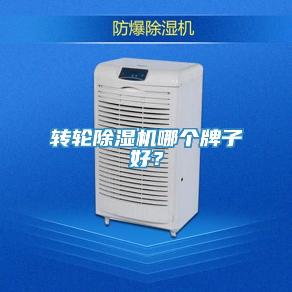 轉(zhuǎn)輪除濕機(jī)哪個牌子好？