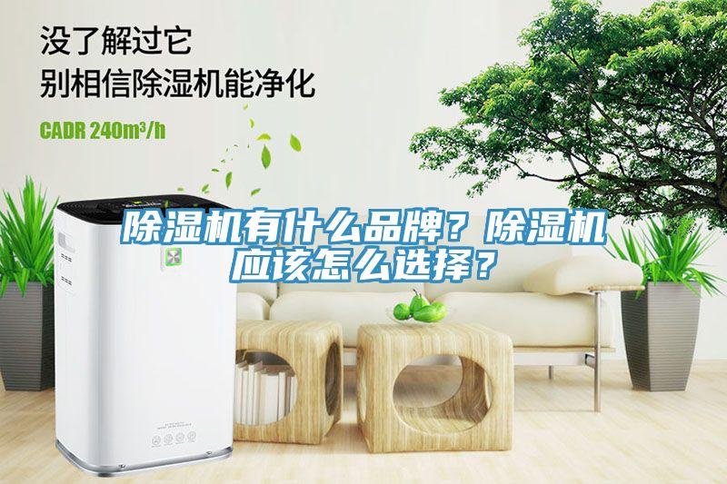 除濕機(jī)有什么品牌？除濕機(jī)應(yīng)該怎么選擇？