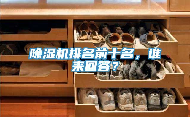 除濕機排名前十名，誰來回答？
