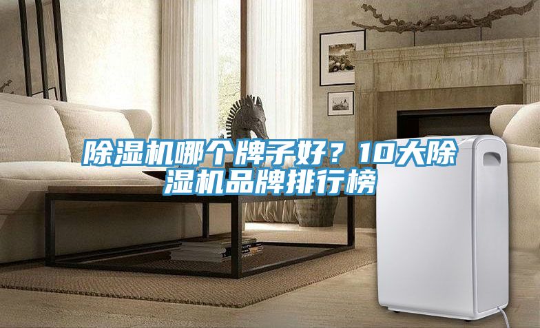 除濕機哪個牌子好？10大除濕機品牌排行榜