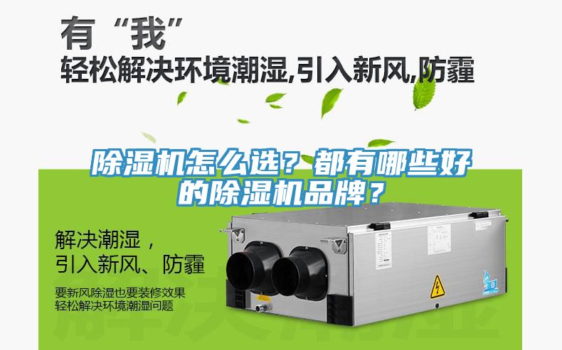 除濕機(jī)怎么選？都有哪些好的除濕機(jī)品牌？