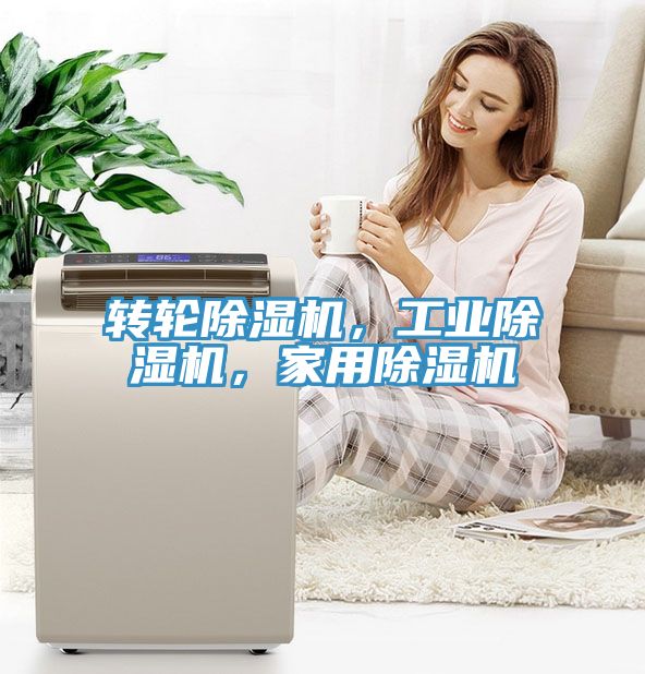 轉(zhuǎn)輪除濕機，工業(yè)除濕機，家用除濕機