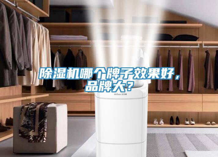 除濕機(jī)哪個(gè)牌子效果好，品牌大？