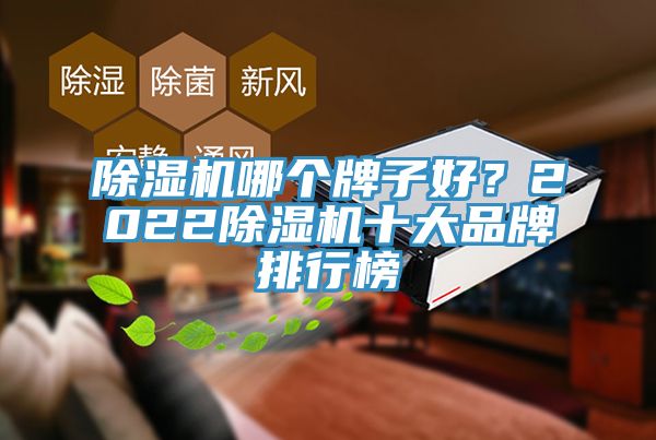 除濕機哪個牌子好？2022除濕機十大品牌排行榜