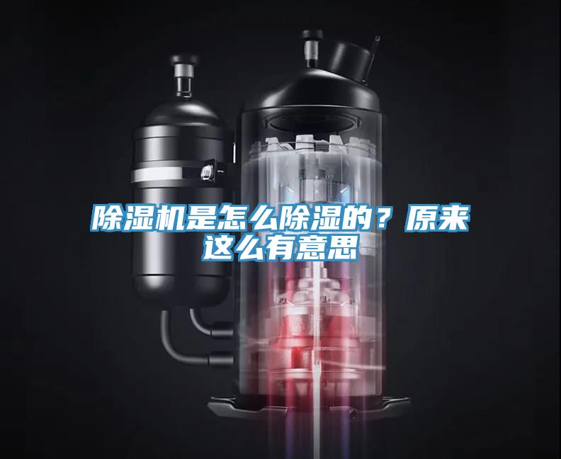 除濕機是怎么除濕的？原來這么有意思