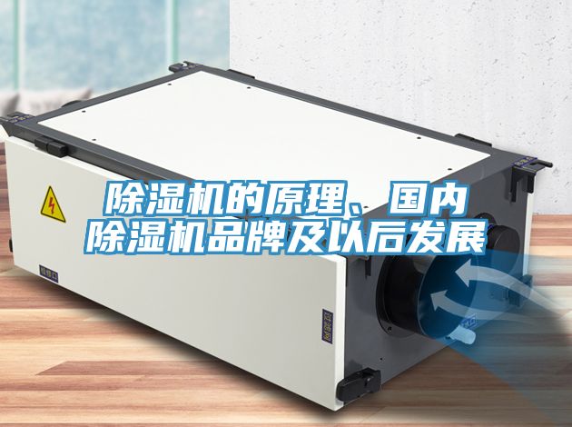 除濕機的原理、國內除濕機品牌及以后發(fā)展