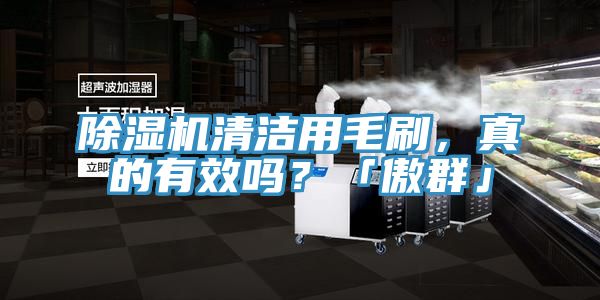 除濕機(jī)清潔用毛刷，真的有效嗎？「傲群」