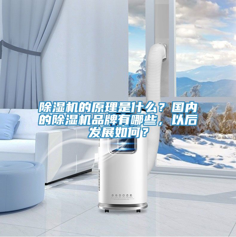 除濕機的原理是什么？國內的除濕機品牌有哪些，以后發(fā)展如何？