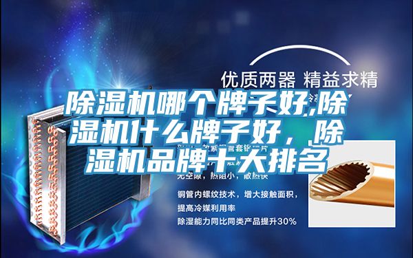 除濕機(jī)哪個(gè)牌子好,除濕機(jī)什么牌子好，除濕機(jī)品牌十大排名