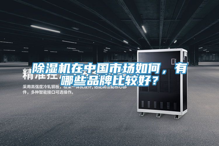 除濕機在中國市場如何，有哪些品牌比較好？
