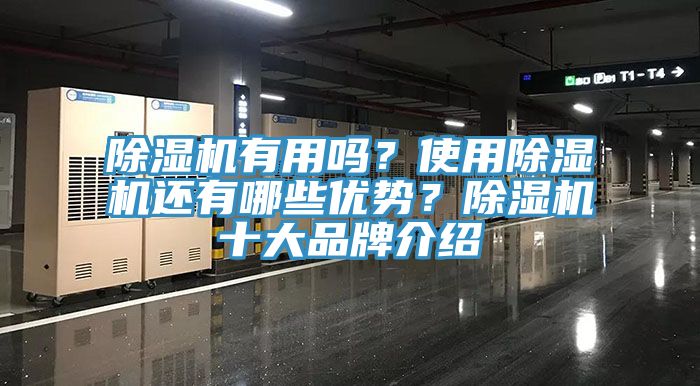 除濕機(jī)有用嗎？使用除濕機(jī)還有哪些優(yōu)勢(shì)？除濕機(jī)十大品牌介紹