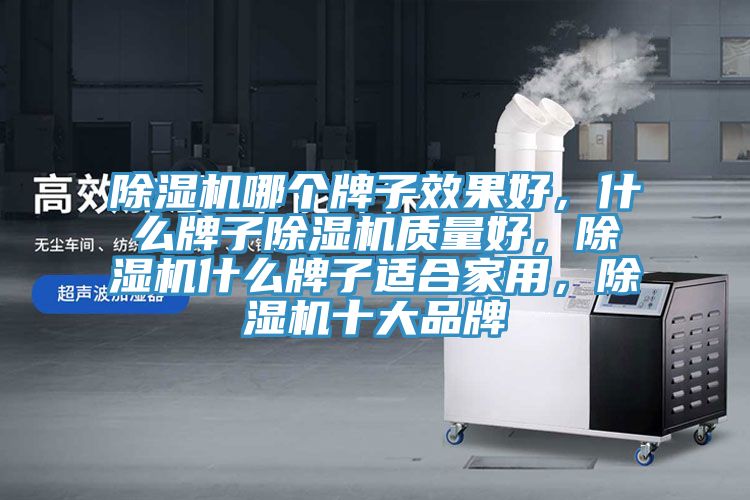 除濕機(jī)哪個(gè)牌子效果好，什么牌子除濕機(jī)質(zhì)量好，除濕機(jī)什么牌子適合家用，除濕機(jī)十大品牌