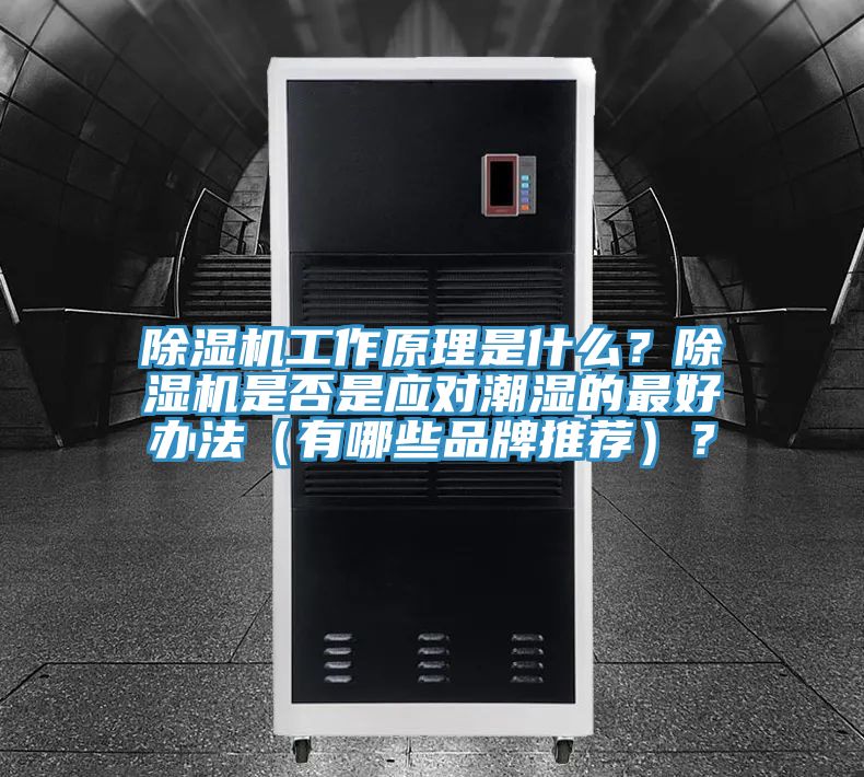 除濕機(jī)工作原理是什么？除濕機(jī)是否是應(yīng)對(duì)潮濕的最好辦法（有哪些品牌推薦）？