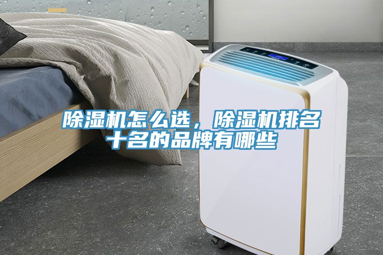 除濕機(jī)怎么選，除濕機(jī)排名十名的品牌有哪些
